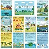 Pasimy 11 Pcs Science Posters for Classroom Ecosystems Teaching Poster Ecosystems Bulletin Board Biological Food Chain Bulletin Board for Classroom Decoration Teacher Middle High School Library Home