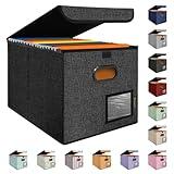 BALEINE File Organizer Box with Lid, Collapsible File Folder Organizer with Plastic Slide, Hanging File Folder Box for Office Document Storage (1 Pack, Black)