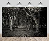 CHNYWORK 7ftx5ft Misty Dark Forest Backdrop Halloween Woods Gloomy Grove Mystery Vampire Forest Background Magic Witch Wizard Sorcerer Ghost Halloween Festival Party Decors Portrait Photo Props