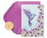 Papyrus Blank Cards with Envelopes - Designed by Bella Pilar, Purple Hummingbird (14-Count)