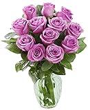 12 Fresh Purple Roses (Farm-Fresh, Long-Stem) with Vase - Holidays Collection - KaBloom Prime Next Day - Gift for Birthday, Get Well, Thank You, Valentine, Mother’s Day Fresh Flowers