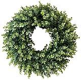 IPLNTS 20” Wreaths for Front Door,Spring and Summer Eucalyptus Wreath,Outdoor Green Door Wreath for All Seasons Porch Living Room Bedroom Window Wall Indoor Outdoor Farmhouse Home Decoration