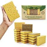 AIRNEX Natural Kitchen Sponges Pack of 18 - Biodegradable Cellulose and Coconut Husk Walnut Scrubber Sponges - Odor Free Non Scratch Sponges - Eco Friendly Quick Drying Dishwashing Sponges