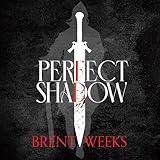 Perfect Shadow: A Night Angel Novella