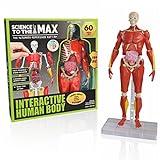 Be Amazing! Toys Interactive Human Body - 60 Piece Fully Poseable Anatomy Figure – 14” Tall Model - Anatomy Kit – Removable Muscles, Organs,Bones STEM Toy – Ages 8+