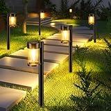 Solar Pathway Lights Outdoor, 10 Pack Metal & Glass Solar Lights Outdoor Waterproof Landscape Path Lights Solar Lights for Outside Yard Lawn Walkway Driveway Garden Decor