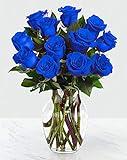 Farm Direct Fresh Blue Roses. | 12 Fresh Blue Rose Bouquet (Dozen) + Vase Included - Fresh Flowers Roses.