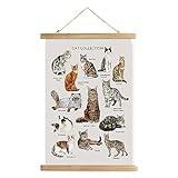 XIAOAIKA Cat Breeds Educational Poster - Illustrated Guide to Popular Feline Varieties with Wooden Scroll Frame - Decorative Wall Art for Cat Lovers and Pet Owners 16 x 23 Inches