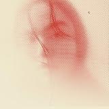 Optoelectronic Opera