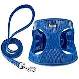 BOOMIBOO Dog Harness with Leash Set, No Pull Adjustable Reflective Step-in Puppy Pet Vest Harnesses for Small Medium Large Dogs and Cats,Blue S