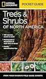 National Geographic Pocket Guide to Trees and Shrubs of North America