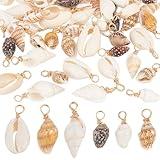 PH PandaHall 120pcs Shell Charms 6 Styles Spiral Seashells Craft Charms Cowrie Sea Shells Pendant Natural Shell Charm Conch Shells with Loop Bail for Halloween Earrings Summer Beach Jewelry Making