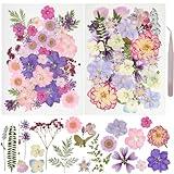 50Pcs Dried Pressed Flowers Resin Mould Real Pressed Flowers Natural Dry Leaves Bulk Mixed Colorful Daisy Herbs Kit with Tweezers for Scrapbooking DIY Candle Jewelry Crafts Making Nails(Purple)