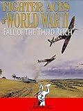 Fighter Aces of World War II: Fall of the Third Reich
