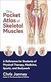 The Pocket Atlas of Skeletal Muscles: A Reference for Students of Physical Therapy, Medicine, Sports, and Bodywork