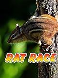 Rat Race