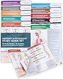 TribeRN Anatomy & Physiology Study Guides - Set of 10 Human Anatomy Guides for Nursing Students, School, College, Medical Professions - 12 Topics on Body Systems w/ Reference Charts & Terminology