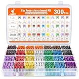 JOREST 300Pcs Car Fuse Assortment Kit, 160 Mini Blade Fuses Automotive + 90 Standard Auto Fuses + 50 Micro Fuse + 1 Puller – for Car/RV/Truck/Motorcycle(2Amp 3A 5A 7.5A 10A 15A 20A 25A 30A 35A 40A)