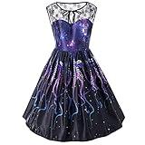 Brentwood Cleveland Style Polka CD for Adults, Multicolor, 5.75 x 4.75 x 0.5 inches, Polka Album