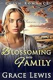 Blossoming into Family: Inspirational Amish Romance (Seasons of Love Book 6)