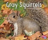 Gray Squirrels (Woodland Wildlife)