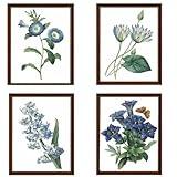 Blue Flower Canvas Wall Art Print, Vintage Floral Botanical Decor Antique Botany Poster, Blue Tone Morning Glory Water Lily Hyacinth Gentian Artwork Decorate for Office, Set of 4,8 X 10 In Unframed