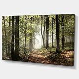 DesignArt Oversized Canvas Wall Art Décor - Green Fall Forest with Sun Rays - Landscape Photography Canvas Print for Bedroom, Dining Room, Living Room Décor - 40" x 20"