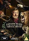 Fantastic Beasts: A Natural History