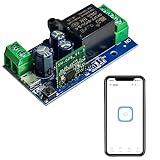 Ewelink WiFi Wireless Smart Relay Module USB 5v/12v/24v/48v Inching Selflock Remote ON Off Power Switch for Access Control,Turn on PC, Compatible with Alexa Google Home