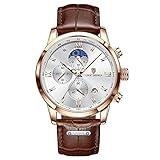 Weicam Men Casual Waterproof Roman Numerals Leather Band Analog Quartz Wristwatches with Chronograph Calender Business Watch (Brown)