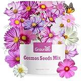 Groundio Cosmos Seeds Wildflower Mix, 1 Oz, 3,000+ Seeds, 4 Varieties Flowers Seeds for Planting (Radiance, Purity, Pinkie, Picotee), Open Pollinated Bulk