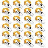 SHENGQIDZ 24 Pack Whistles, Stainless Steel Sports Loud Crisp Sound Whistles with Lanyard,Whistles Great for Referees, Coaches