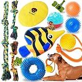 KIPRITII Assorted Dog Toys for Small Dogs-14 Pack Various Puppy Toys Dog Teething Toys for Boredom with Rope Toys, Dog Treat Balls & Squeaky Toys for Puppies & Small Dogs