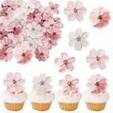 40 PCS Edible Cherry Blossoms Cupcake Toppers Edible Cherry Blossoms Flowers Cake Decorations Wafer Paper Flowers Cupcake Topper for Baby Shower Kids Birthday Party Decorations Supplies Colorful