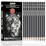 Charcoal Pencils for Drawing, Set of 12 Drawing Pencils for Sketching Medium (6B - 4H), Artist Graphite Pencils for Drawing, Charcoal Pencils for Artists for Sketching Supplies, Charcoal Art Supplies.