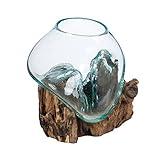 Cape Craftsmen 7" H Hand-Blown Blue Tinted Bubble Glass On Natural Teak Driftwood Terrarium | Home Décor Indoor Planter with Stand | Pot for Succulent and Plants