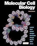 Molecular Cell Biology (842581)