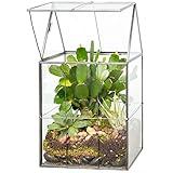 D'Eco Glass Geometric Plant Terrarium (6x5x11) - Black Hinged Roof Planter Terrarium for Succulents, Air Plants, Moss - Summer Home, Garden, Wedding & Office Botanical Decor- Gift for Plant Lovers