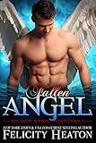 Fallen Angel: An Angel Paranormal Romance (Her Angel: Bound Warriors Book 2)