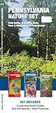 Pennsylvania Nature Set: Field Guides to Wildlife, Birds, Trees & Wildflowers of Pennsylvania (Nature Observation North America)