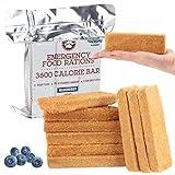 Grizzly Gear Emergency Food Rations- 3600 Calorie Blueberry Bar - 3 Day, 72 Hour Supply For Disaster, Hurricane, Flood Preparedness - Less Sugar, More Nutrients Than Leading Brands - 5 Year Shelf Life