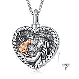 AUDINCEED Cat Heart Urn Necklaces for Ashes for Women, S925 Sterling Silver Cremation Jewelry for Ashes Keepsake Holder Memorial Necklace Pendant of Loved Ones Human Pet