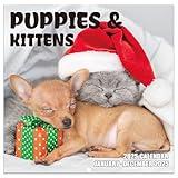 2025 Calendar - Kittens and Puppies Calendar 2025, 12 months from Jan. 2025 - Dec. 2025, 12" x 24" (Open), Monthly Wall Calendar with Thick Paper, Dogs Cats Cute Baby Animals