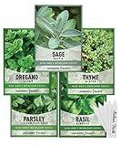 Gardeners Basics, Italian Herb Seeds for Planting 5 Variety Herbs Seed Packets Including Italian Flat Leaf Parsley, Sage, Oregano, Thyme, Basil - Great for Kitchen Herb Garden, Hydroponics Heirloom