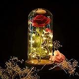 SW Preserved Rose Enchanted Rose Red Silk Rose in Glass Dome with LED Lights Pine Base, Romantic Home Decor Gifts for Mom Women Valentines Day Christmas Mothers Day Wedding Anniversary Birthday