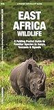 East Africa Wildlife: A Folding Pocket Guide to Familiar Species in Kenya, Tanzania & Uganda (Nature Observation International)