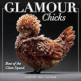 Glamour Chicks 2025 Wall Calendar, 16-Month Humor & Comic Calendar, 12" x 12"