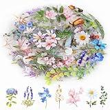 160Pcs Natural Flower Stickers for Scrapbooking,Self-Adhesive Transparent Flower Stickers Scrapbook Supplies Journaling Supplies for Adult Card Making Letters DIY Water Bottle Cards Decoration (160)