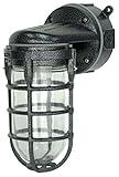 Woods L1707SVBLK Wall Mount Light in Hammered Black Finish Sturdy Die Cast Aluminum Cage; 100 Watt Incandescent; Industrial Design; Suitable for Indoor and Outdoor Use