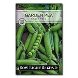 Sow Right Seeds - Sugar Snap Pea Seeds for Planting - Non-GMO Heirloom Packet with Instructions to Plant a Home Vegetable Garden - Grow Tons of Delicious Pods - Cool Season Crop, Super Productive (1)